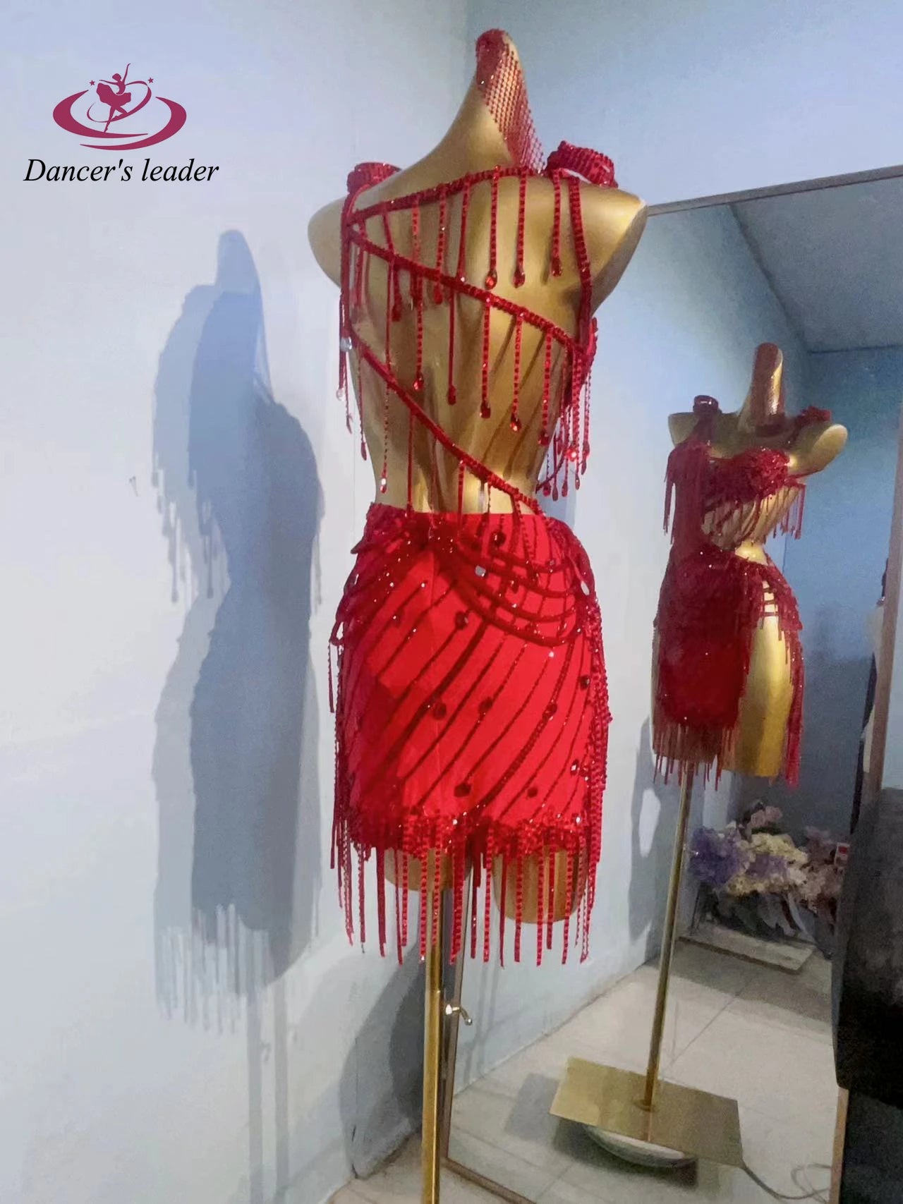 Latin Dance Costume