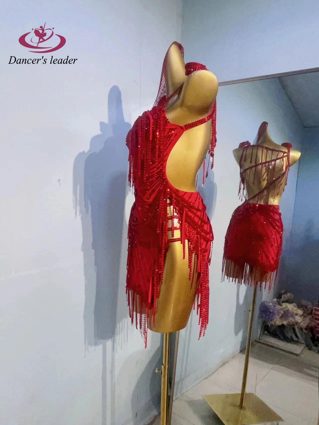 Latin Dance Costume