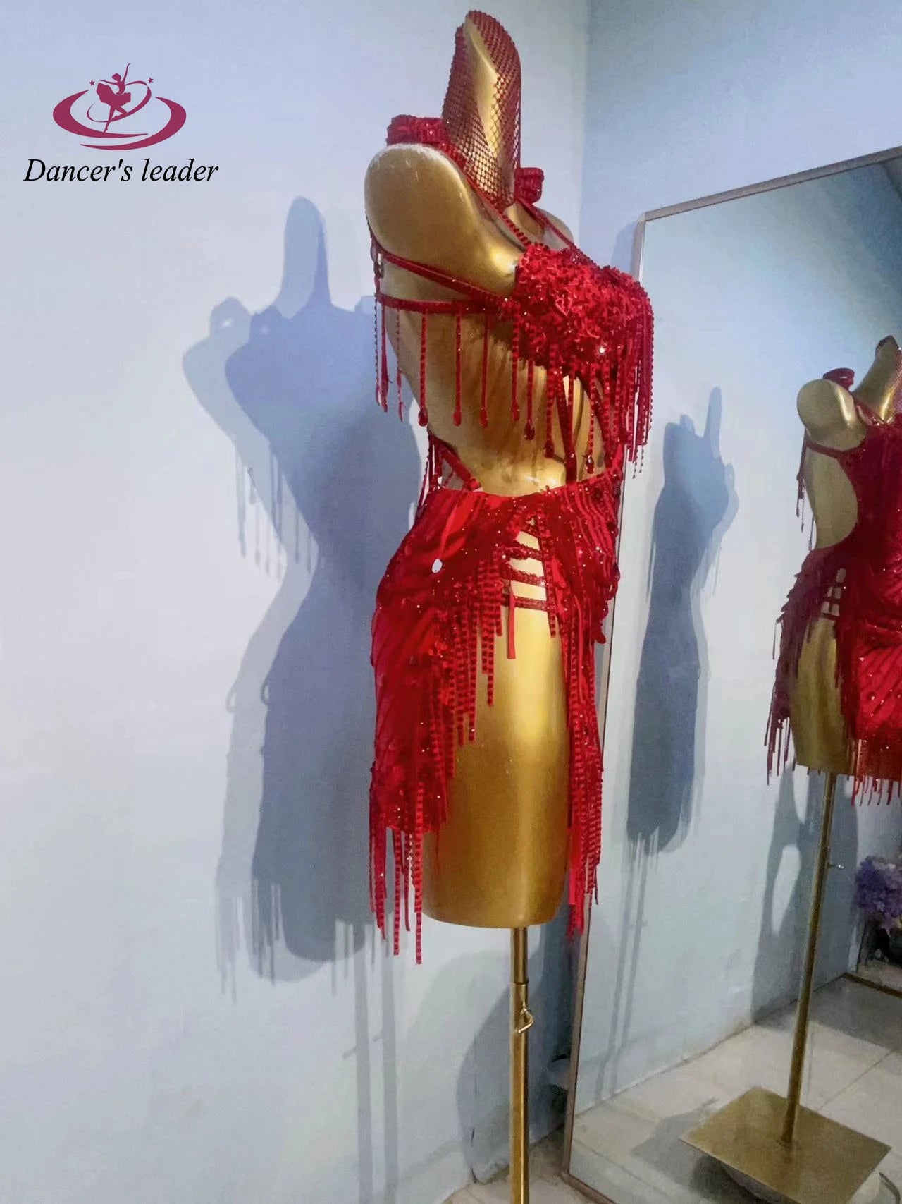 Latin Dance Costume