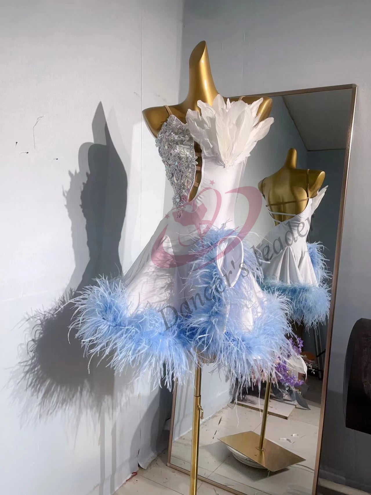 Customized Latin Dance Dress with Feathers – Professional Performance Wear